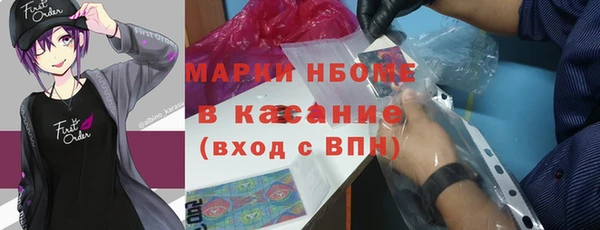 индика Алзамай