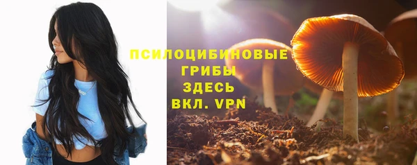 прущий лед Алексеевка