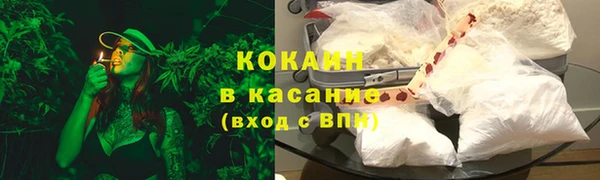 индика Алзамай