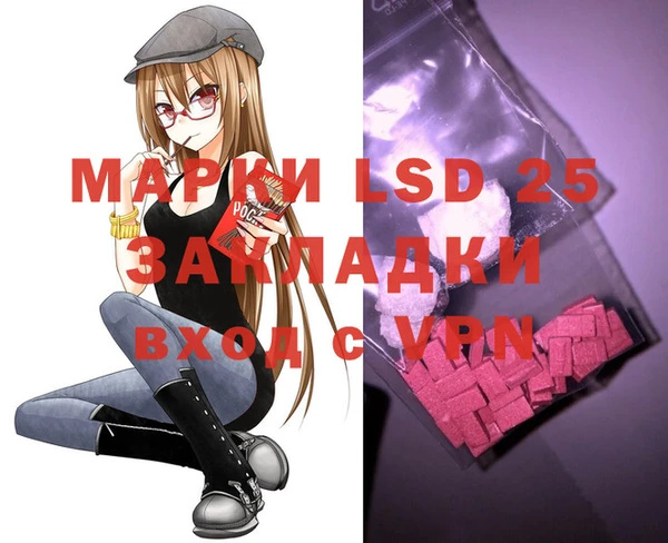 индика Алзамай