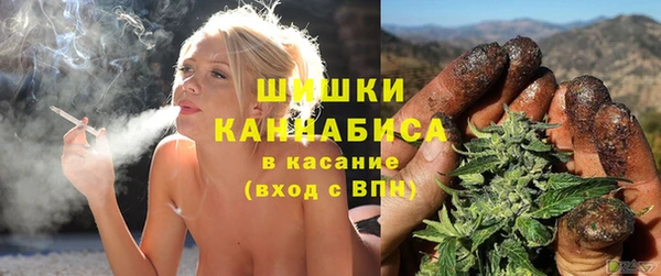 индика Алзамай