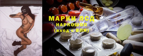 индика Алзамай