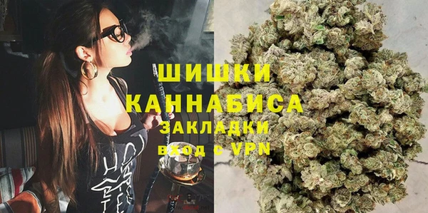 индика Алзамай