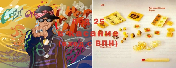 индика Алзамай